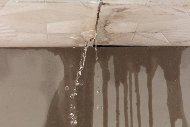 Professional Water Damage Inspection technician working in Shapleigh, ME